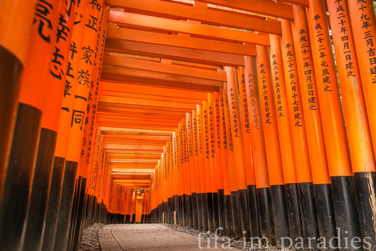 Der Fushimi-Inari-Schrein in Kyoto ist bekannt für seine Wege, die aus tausenden von roten Torii (so nennt man die Eingangstore von Shinto-Schreinen) bestehen, die bis zur Spitze des Berges hinaufführen und allesamt gespendet worden