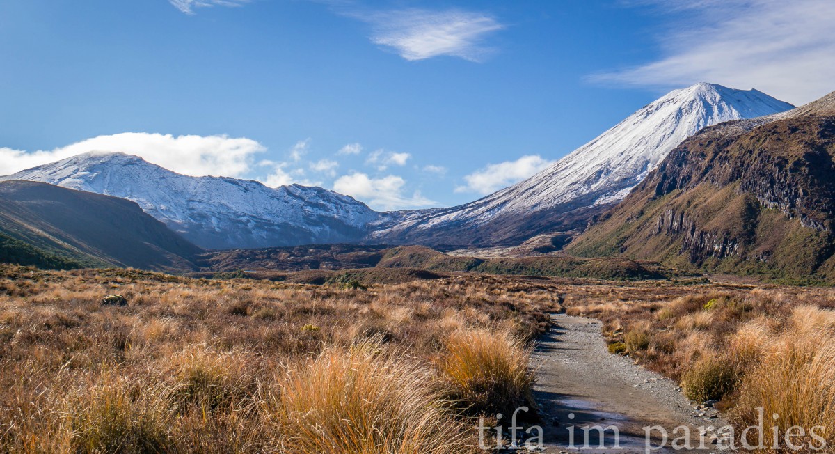 Startpunkt des Tongariro Alpine Crossings